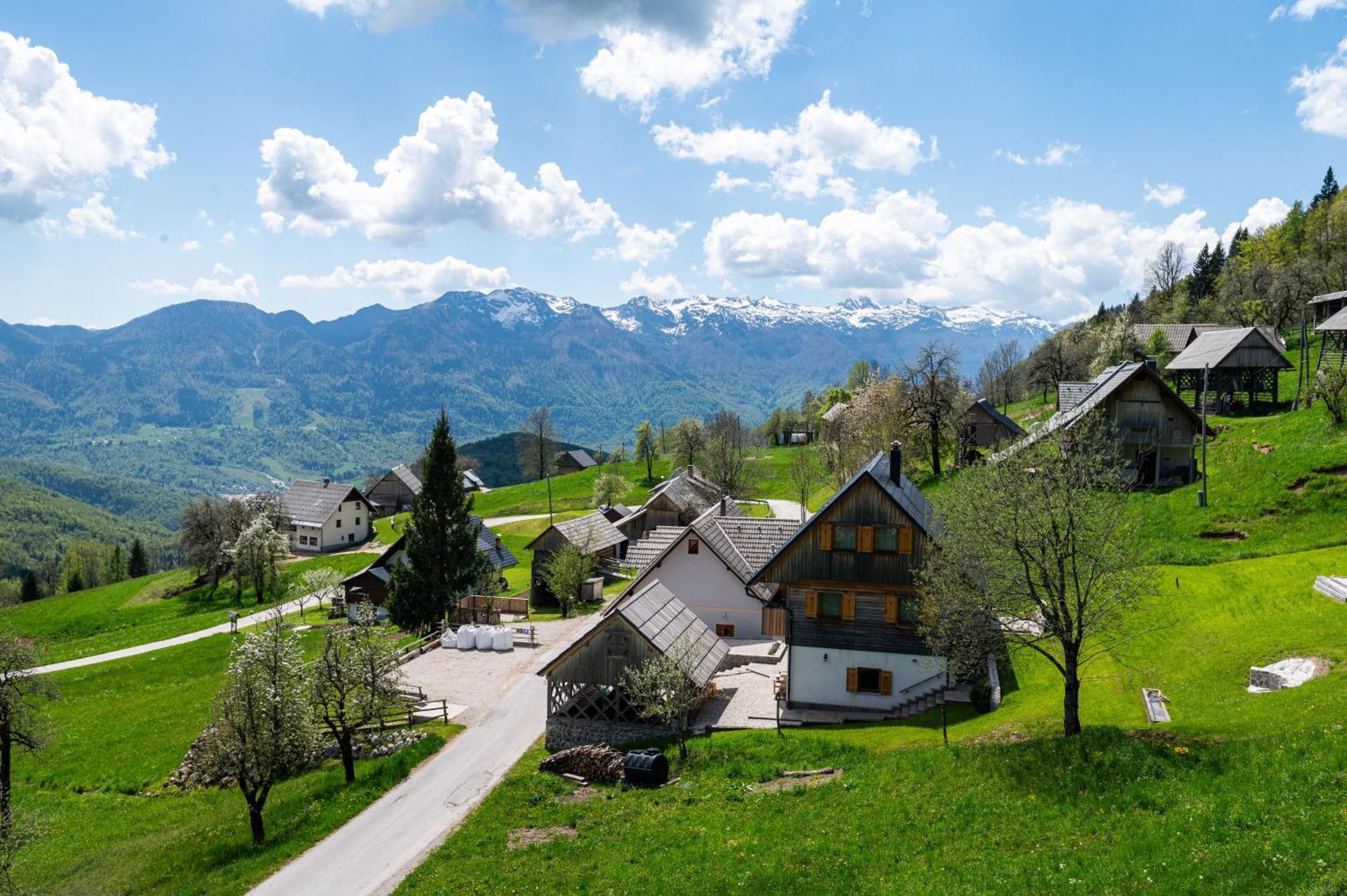 Villa Podjelje Esterno foto