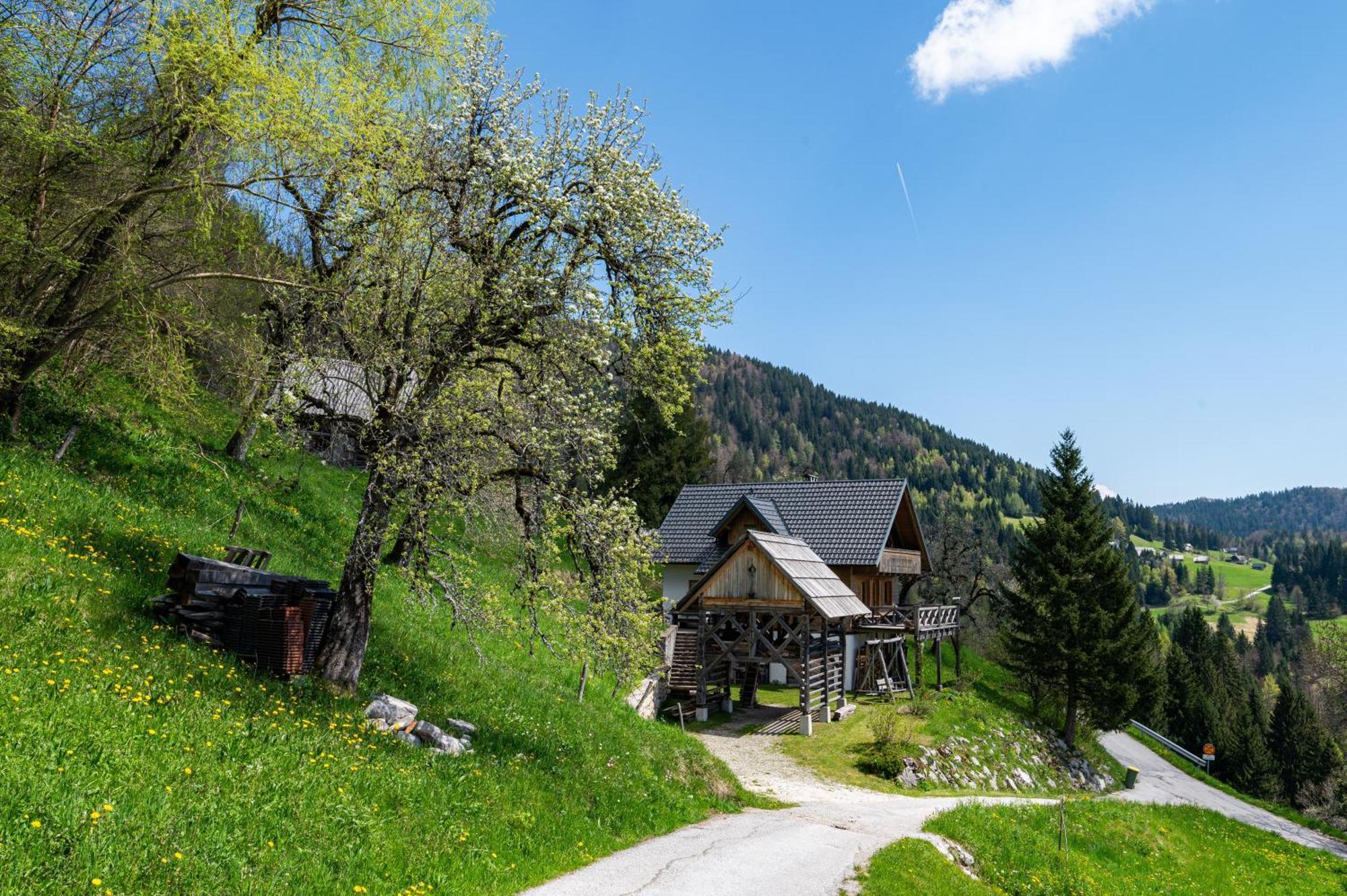 Villa Podjelje Esterno foto